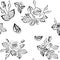 Black and white flowers silhouette outline buds with leaves seamless pattern , repeatable vector texture tile square. scandinavian