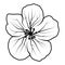 Black and white geranium flower logo