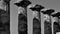 Black and white greek pillars and columns