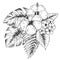 Black and white hand drawn graphic tropical plants