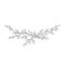 Black on white Hand drawn vector Branch with leaves. Floral simple illustration. Botanical ink contour. Minimalism line