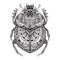 Black and white hand drawn zentangle stylized scarab.