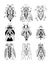 Black and white handmade liner drawing of ethnic beetle in flat