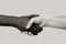 Black and white human hands in joint handshake on an isolated background. The concept of combating racism, friendship and respect