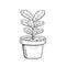 Black and white illustration of cartoon  ficus plant