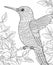 Black and white illustration for coloring birds, calibri.