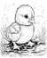 Black and white illustration for coloring birds, duckling.