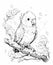 Black and white illustration for coloring birds, parrot.
