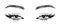 Black and white illustration of female eyes with long eyelashes and eyebrows. Beauty logo eyelash salon logo