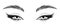 Black and white illustration of female eyes with long eyelashes and eyebrows. Beauty logo eyelash salon logo