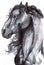 Black and white illustration of Friesian horse profile