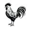 Black and white illustration. majestic rooster