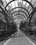 Black and white image of archway overgrown with plants at park