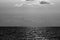 Black and white image of the beautiful Gulf Coast on the boarder of Sarasota Florida