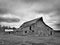 Black and white image of dreary abandoned dilapidated farm barn in northern Minnesota