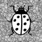 Black and white image of ladybug.