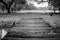 Black and White image of old wooden bridge cross over the river.