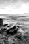 black and white image wave hitting the coastline