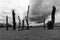 Black and white image of Woodhenge a tree circle in the Netherlands consisting of fifteen fossil forest mowers and arranged  in su