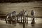 Black and white image of zebras drinking water from a pond. Beautiful contrast for nice poster background. Photo taken in Nairobi