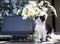 Black and white kitten sits under a bouquet of daisies next to a laptop screen and a mobile phone