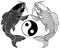 Black and white koi fishes and yin yang