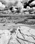 Black and white landscape in Theodore Roosevelt National Park