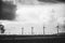 Black and White Landscape with Wind Turbines and Clouds