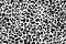 Black and white leopard skin pattern