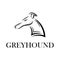 Black and white line art of Greyhound dog head
