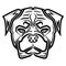 Black and white line art of rottweiler dog head.