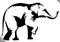 Black and white linear paint draw elephant illustration