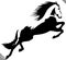 Black and white linear paint draw horse vector illustration