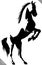 Black and white linear paint draw horse vector illustration