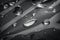 Black and white macro photo of water drops scattered on reflective metal surface