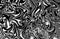 Black and white marbling paint swirls background.