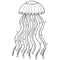 Black and white meditative jellyfish with lace ornament zentangle style. Zen stylization of marine life. For antistress books colo