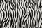 Black white modern fabric pattern