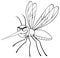 Black And White Mosquito Cartoon Character Flying