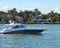 Black and White Motor Yacht