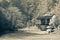 Black and white natural landscape with an old building. picturesque abandoned nature forest with a pond.