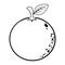 Black And White Orange Fruit Cartoon Lines Drawing