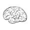 Black and white outline brain mark.