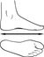 Black and white outline of the foot