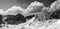 Black and white panorama of snowy mountains in sun day