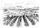 Black White Pen Sketch White Background Mountainous Landscape Provence Lavender fields.