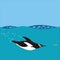 black white penguin swim bird vector illustration transparent background