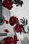 A black and white photo of  acoustic wooden guitar lies on a white sheet surrounded by red peonies
