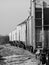 Black and white photo of boxcars on railroad tracks in a small, rural town in Tennessee