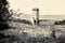 Black and white photo of a landscape with a silo and barn near Rectortown Virginia in Fauquier County.